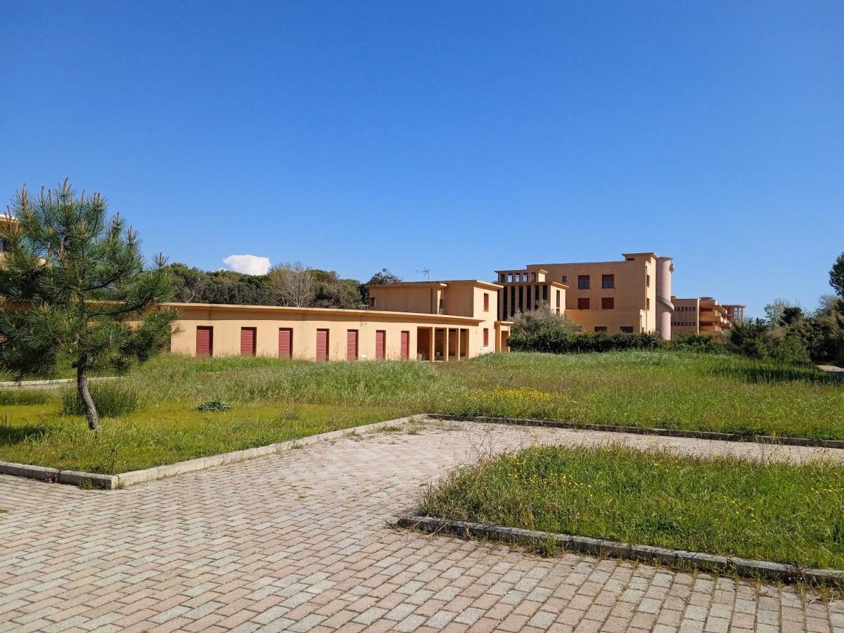 Accesso Diretto Sul Mare Maredilucecala Apartment Calambrone Ngoại thất bức ảnh